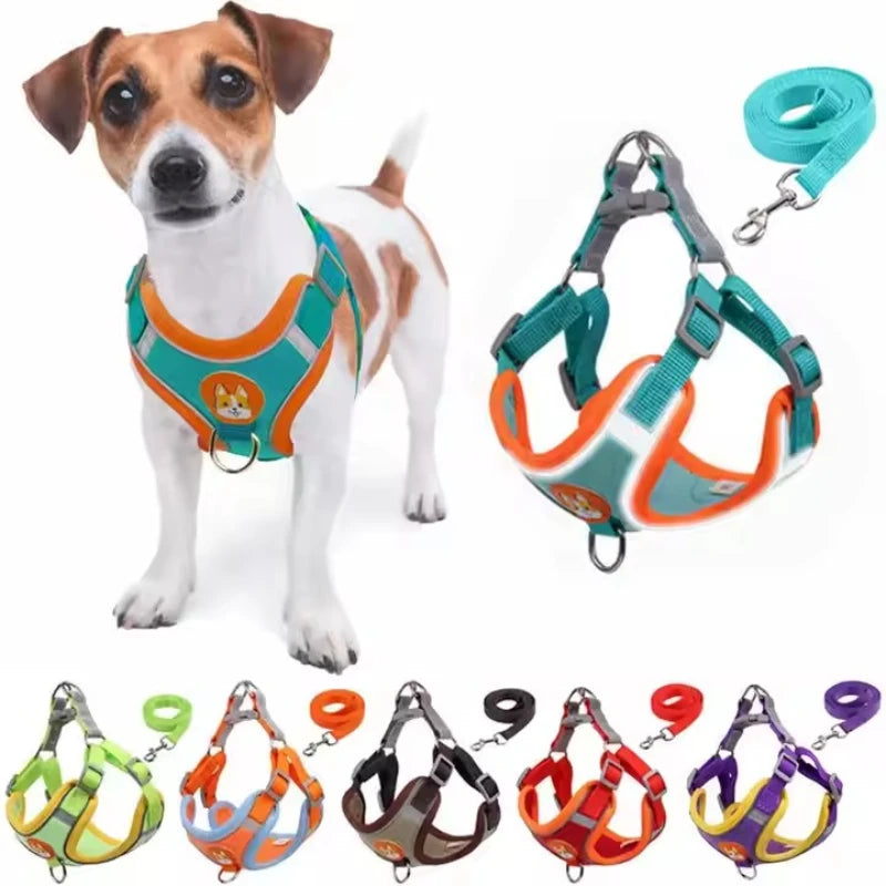 🐶 Arnés Ajustable con Correa para Perros Pequeños y Medianos 🐶