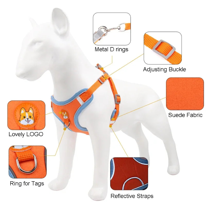 🐶 Arnés Ajustable con Correa para Perros Pequeños y Medianos 🐶